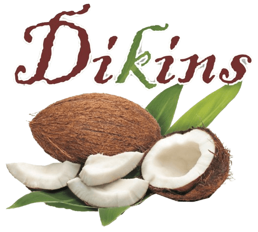 Dikins Multiventures logo