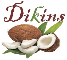 Dikins Multiventures Logo